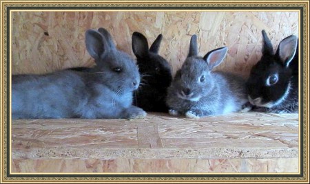 Anyával a legjobb :)